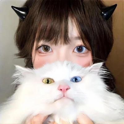追龙Ⅱ